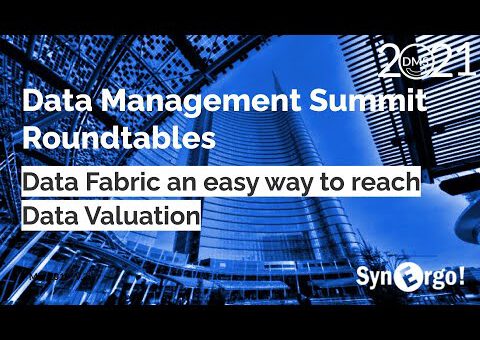 Data Management Summit Italy 2021 - Tavola Rotonda Data Fabric & Data Value